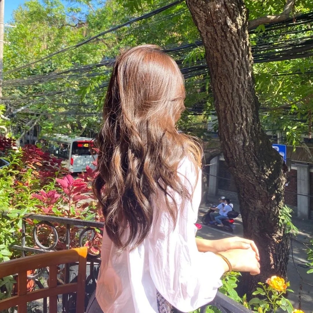 蜘蛛与郁金香